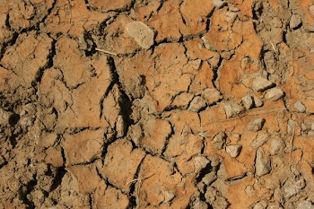 scorched_earth.jpg