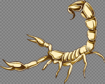 Scorpio PNG High-Quality Image