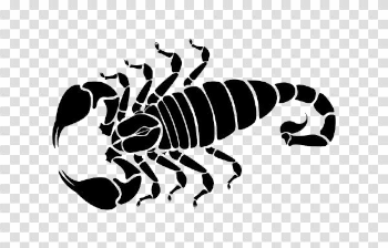 Scorpio Tattoo Free PNG Image