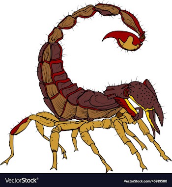 scorpion