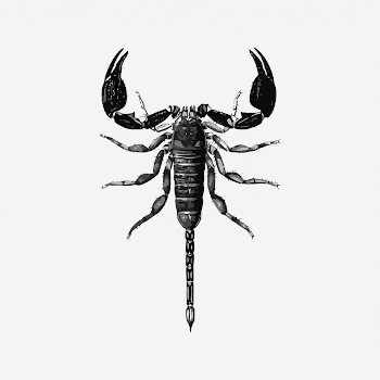 Scorpion  clipart, black & | Free PSD - rawpixel