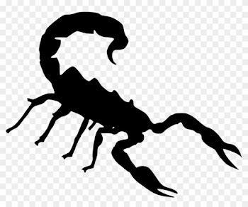 Scorpion Clipart Free Images - Scorpion Clipart