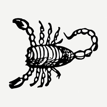 Scorpion drawing, illustration psd. Free | Free PSD - rawpixel