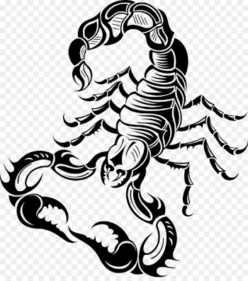 Scorpion Illustration - Tattoo 