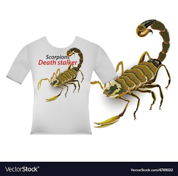 Scorpion screen on t shirt vector image