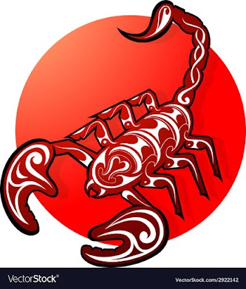  					Scorpion tattoo vector image														