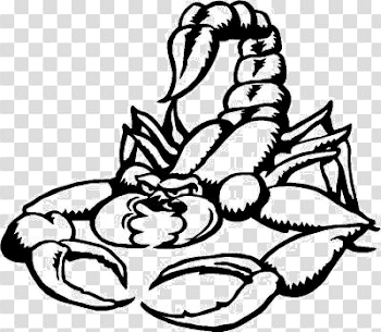 Scorpion Tattoos Free Png Image