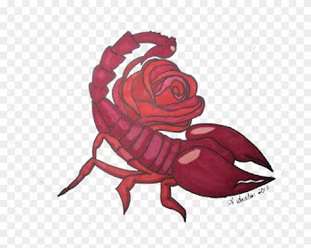 Scorpion With A Rose Tail