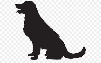 Scotch Collie Cat Silhouette Clip art - Dog Silhouette PNG Transparent Clip Art Image 