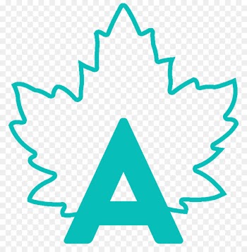 Scotiabank Arena Toronto Maple Leafs National Hockey League Ottawa Senators Leafs Nation Network - albums ecommerce 