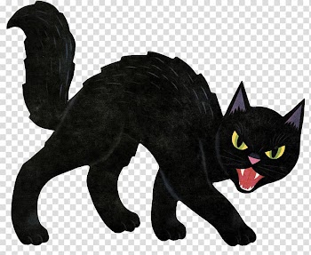 Scottish Fold Halloween Black cat Jack-o'-lantern , halloween decoration transparent background PNG clipart