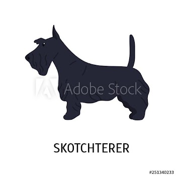 Scottish Terrier or Scottie