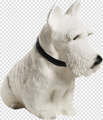Scottish Terrier West Highland White Terrier Miniature Schnauzer Porcelaine Light, White Dog transparent background PNG clipart