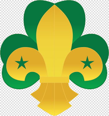 Scouting - Wikipedia