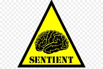 SCP Foundation Fried brain sandwich Human brain Image - brain 