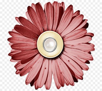 Scrapbooking, Digital Scrapbooking, Paper, Gerbera, Pink PNG