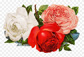 Scrapbooking Roses - Rose