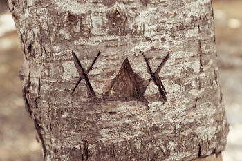          Scratched Text Tree Free Photo     