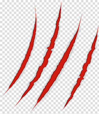 Scratches Claw Png Image