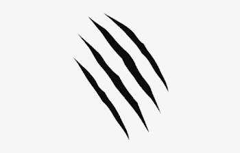 Scratches Png Free Download - Transparent Background Claw Marks ...