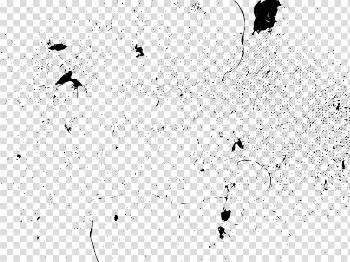 Scratches PNG Transparent Image