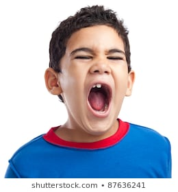 Screaming Kid Images, Stock Photos & Vectors | Shutterstock