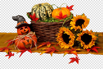 Screen > 1205x808 pix., pictures v.4.4 png | Sunny autumn
