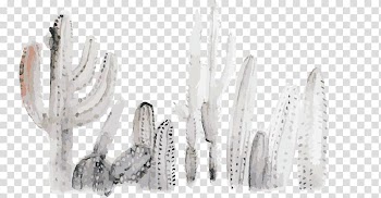 Screenshot Love Cactaceae Boyfriend, watercolor cactus transparent background PNG clipart