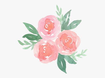Scrose Rose Cute Aesthetic Pastel Pretty Flower Flowers ...