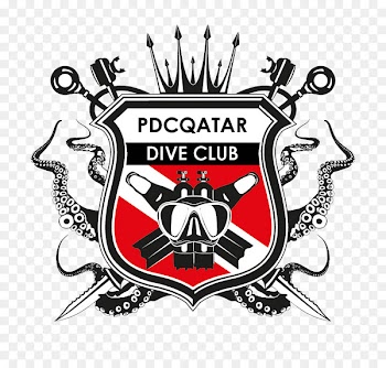 Scuba diving Underwater diving Diver down flag Diving equipment Professional Association of Diving Instructors - old scuba 