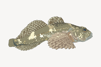 Sculpin fish clipart illustration psd. | Free PSD - rawpixel