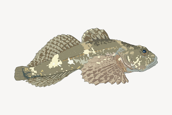 Sculpin fish collage element illustration | Free Vector - rawpixel