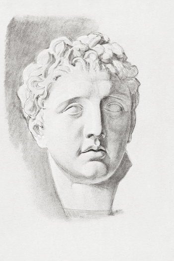 Sculpted male head with wavy | Free Photo Illustration - rawpixel