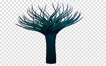 Sea anemone Animal 3D computer graphics, 3d Animals transparent background PNG clipart