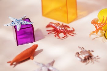 Sea Animal Toys and Glass Boxes on White Surface Close-up Photography
