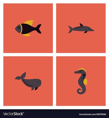 Sea animals stock collection vector image