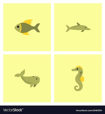 Sea animals stock collection vector image