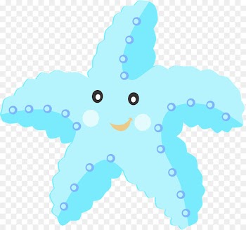 Sea Aquatic animal Turtle Jellyfish Ocean - mar 