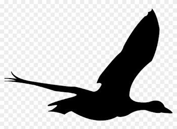 Sea Bird Clipart Animated - Clip Art Flying Bird
