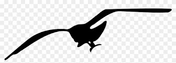 Sea Bird Clipart Line Art - Seagull Art Clips