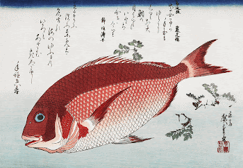 Sea Bream and Sansho Pepper | Free Photo Illustration - rawpixel