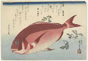 Sea Bream and Sansho PepperOriginal | Free Photo - rawpixel