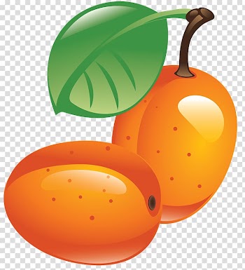 Sea buckthorns Vegetarian cuisine , alimentos transparent background PNG clipart