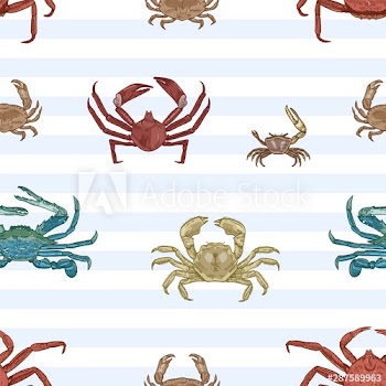 Sea crab vector seamless pattern