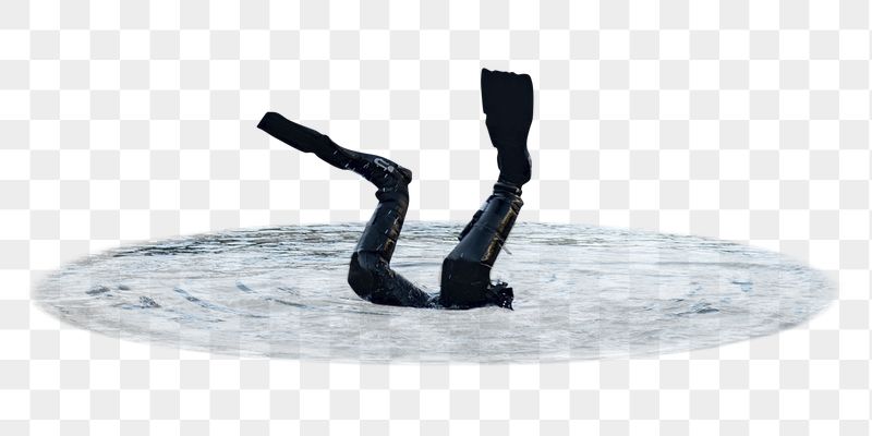 Sea diver png sticker, transparent | Free PNG - rawpixel