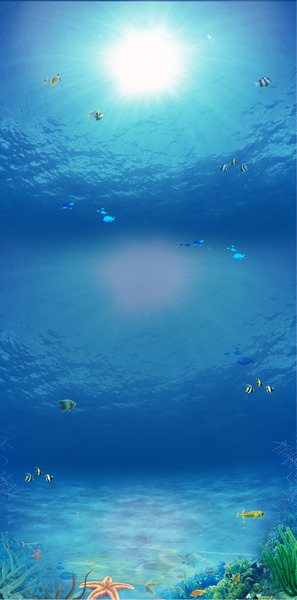Sea Fish Blue - Sea 
