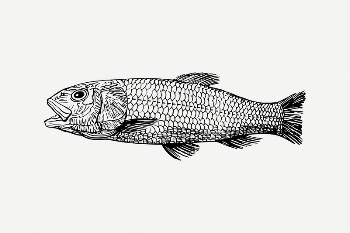 Sea fish collage element, extinct | Free PSD Illustration - rawpixel