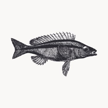 Sea fish illustration clipart vector. | Free Vector - rawpixel