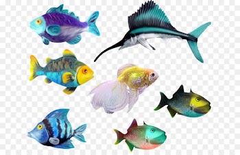 Sea Fish Marine biology Clip art - coral reef 