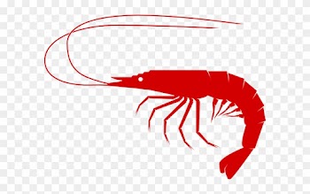 Sea Food Clip Art